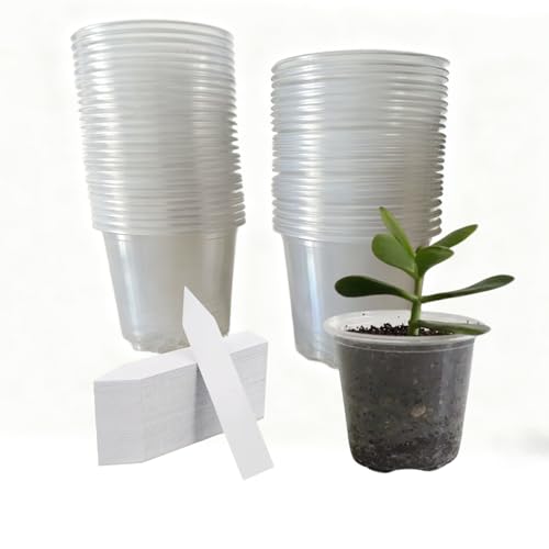 50-Pack 3.5" Clear Nursery Pots, Clear Nursery Pots with Drainage, Plastic Plant Pots, Garden Pots, Flowers Succulents. (with 50 Plant Labels) - size: 3.5in