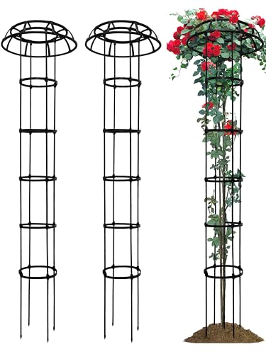 2 Pack Umbrella Top Trellis for Climbing Plants, 76 Inch Tall Adjustable Plant Support for Outdoor Indoor Garden, Sturdy Metal Core with Plastic Coating, Black - size: 2 Pack