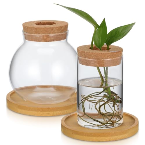 2 Pcs Clear Glass Vases Planter, Wood Tray Plant Propagation Stations, Hydroponic Plant Terrariums Flower Display Living Room Home Office Table Decoration
