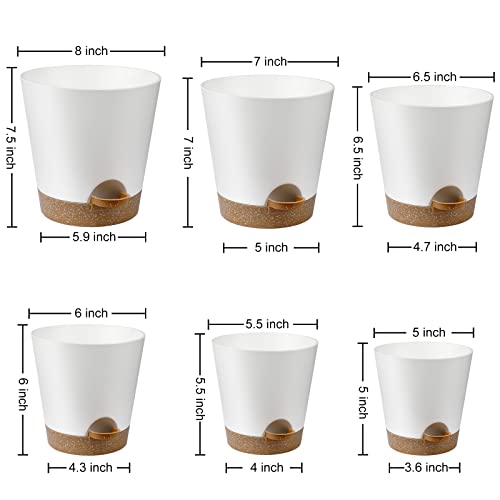 YNNICO Indoor Self Watering Planters with Drainage Holes and Saucers, 8, 7, 6.5, 6, 5.5, 5 Inches, White, 6 Pots (Pack of 2) - color: White, size: 8+7+6.5+6+5.5+5 inch (Pack of 2)