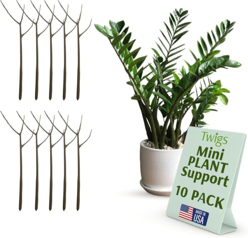 Twigs GA Mini Plant Support Stakes, Moonstone, 10-Pack, 12" L - color: Moonstone