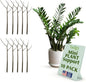Twigs GA Mini Plant Support Stakes, Moonstone, 10-Pack, 12" L - color: Moonstone