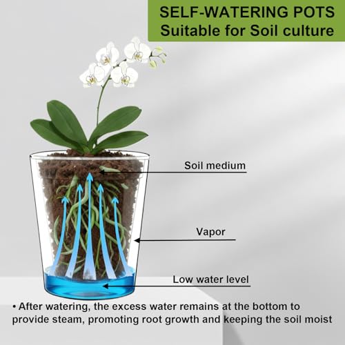 6 Inch Self Watering Pot with Clear Inner Pot, Black, 3 Pack - color: Black, size: 6in(3pack)