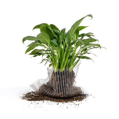 4Pcs 10 Gallon Root Guard Gopher Proof Wire Baskets for Root Protection - size: 10 Gallon