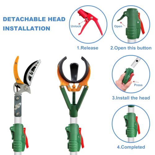 2-in-1 Fruit Picker with Tree Trimmer Pole Garden Tool