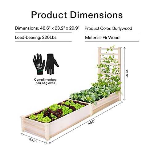 VIVOSUN Wooden Raised Garden Bed, 48 x 24 x 30 Inches, Outdoor Wood Planter Box with Gloves and a Liner, with Trellis for Vine Climbing for Garden, Patio, Balcony, Backyard and Outdoors (Pack of 2) - size: 48 x 24 x 30 In(With Trellis Pack of 2)