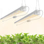 FREELICHT 2Pack 4FT Grow Light for Indoor Plants, Timer, 40W Full Spectrum