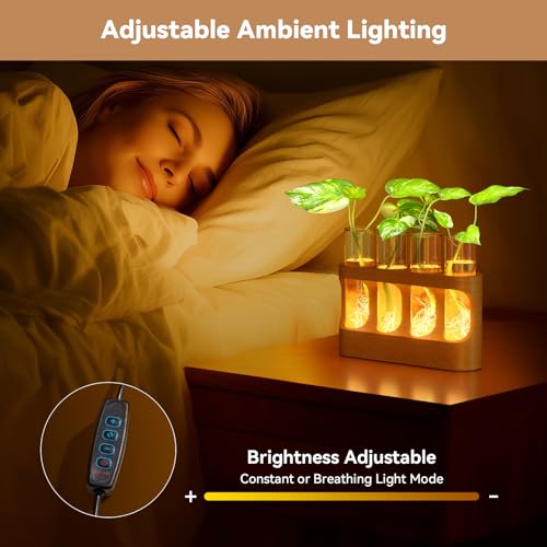 Plant Propagation Station with 9-Speed Adjustable LED Lights