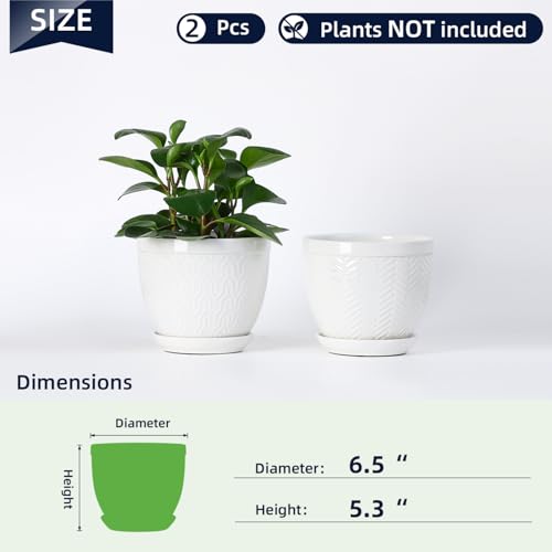 6.5" Ceramic Plant Pots Set of 2, Crisp White Embossed Planters with Saucer - color: White, size: 6.5 inch