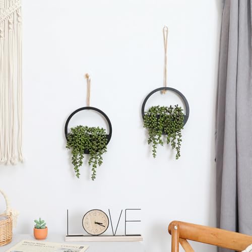2 Pack Fake Plants Artificial Wall Hanging Succulents Plant - color: Black, size: 2 Pcs