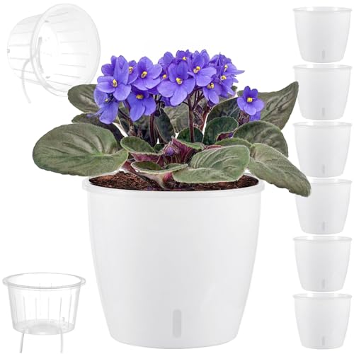 Self Watering Pots for Indoor Plants, 6-Pack 6.7'' Self Watering Planter with Drainage Holes, Small African Violet Pots with Water Indicator, Clear Wick Orchid Pot, White - color: White/6 Pack, size: 6.7"