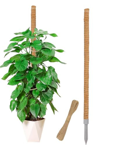 LEMGUBKP 55 Inch Moss Pole, Bendable Moss Pole for Plants Monstera, Moss Poles for Climbing Plants Indoor, Coir Plant Pole Sticks Support Stakes for Potted Plant