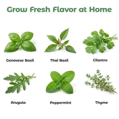 Herb Seed Pod Kit for AeroGarden, idoo, Ahopegarden, MUFGA Hydroponics Garden with Genovese Basil, Thai Basil, Thyme, Cilantro, Peppermint, and Arugula - Compatible with All Hydroponics (8-Pod) - color: Herbs