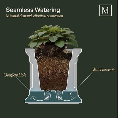 Mayne Fairfield 48in Self-Watering Rectangular Window Box Planter, Espresso - color: Espresso, size: 48in