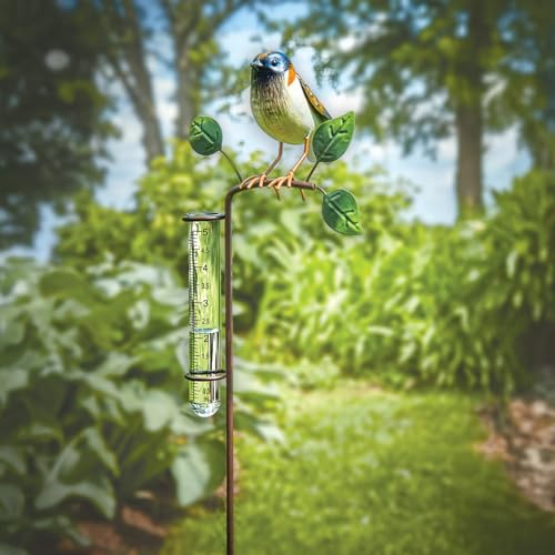 Bits and Pieces Bird Rain Gauge, 5 Inch Glass Tube, 39" Tall