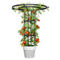 43 Inch Umbrella Trellis for Climbing Plants Outdoor - color: 3 Floors/Black