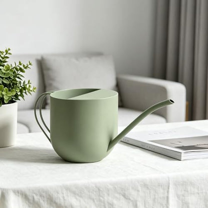 Gray Watering Can 30oz Stainless Steel for Indoor Plants - color: Gray 30oz