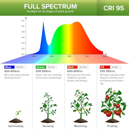 Clip on Grow Light for Indoor Plants, 2-Head LED Bulb