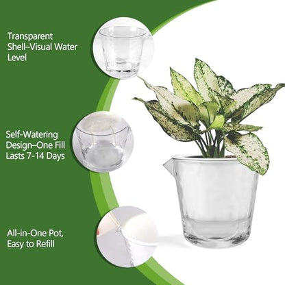 5 Pack Clear Self Watering Pots for Indoor Plants, 5/7 Inch Pots, 2 Size