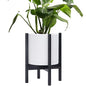 D'vine Dev Plastic Pot with Ebony Wood Stand, White, 10 in, 55-C-N-1 - color: Matte White Pot + Ebony Stand, size: 10 Inch