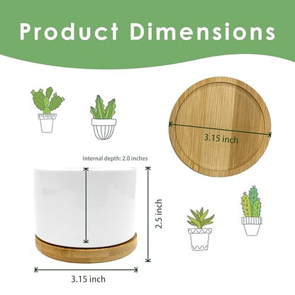 But Did You Document It Funny Plant Pots Succulent Planters - color: Style a -S
