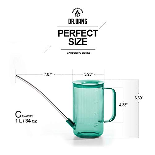 Small Watering Can Indoor Plants with Long Spout (1L, Emerald) - color: Emerald
