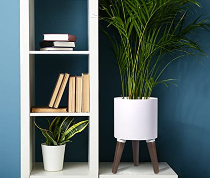 D'vine Dev 8 Inch Planter Pot with Wood Stand, White, 88-O-A-1 - color: Matte White, size: Small