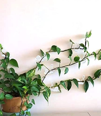 50PCS Plant Wall Clips: Vine Climbing Self-Adhesive Invisible Fixing Hook for Wall & Garden Decoration - size: snail