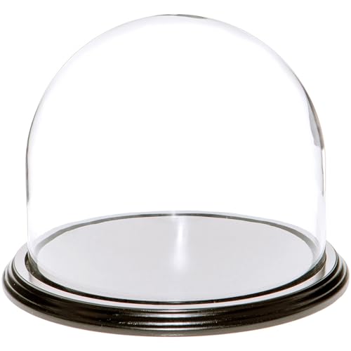 Plymor 8" x 6.5" Glass Display Dome Cloche (Black Wood Veneer Base) - color: Black Wood Veneer Base