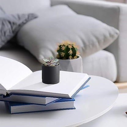 D'vine Dev 24-Pack Mini Black Plastic Planters with Saucers, 2 in, 74-Y-A-6 - size: 2"