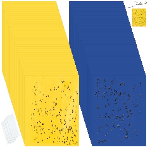 Qualirey 100 Pcs 6x8 Inch Yellow Blue Sticky Traps for Gnats - color: Yellow,Blue