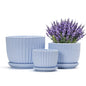 Flower Pots，Ceramic Pots with Drainage Holes & Saucers Set of 3(Sky Blue) - color: Blue