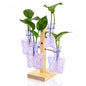 Nacome Plant Terrarium Propagation Stations: Purple Vase with Wooden Stand - color: Purple
