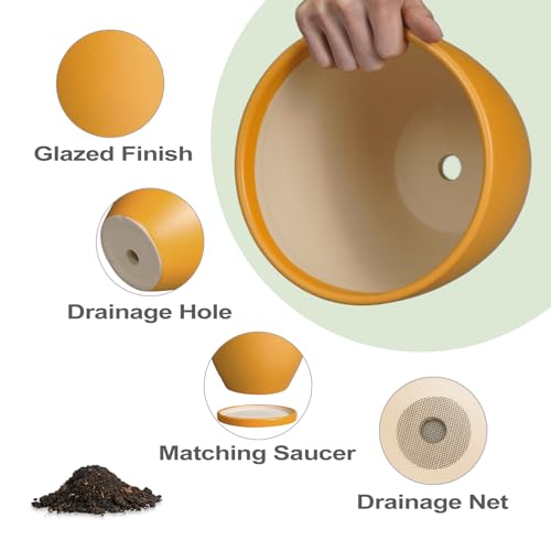 Ceramic Plant Pots - 10 Inch 8 Inch 6 Inch Planters, Orange - color: Matte Orange