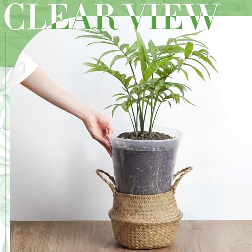 Vesici 6 Pcs 13 Inch Large Thickened Clear Nursery Pots - size: 13 Inch