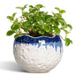 4 Inch Plant Pots, Ceramic Pots for Plants, Beige-Blue - color: Beige-blue, size: 4.5 Inch