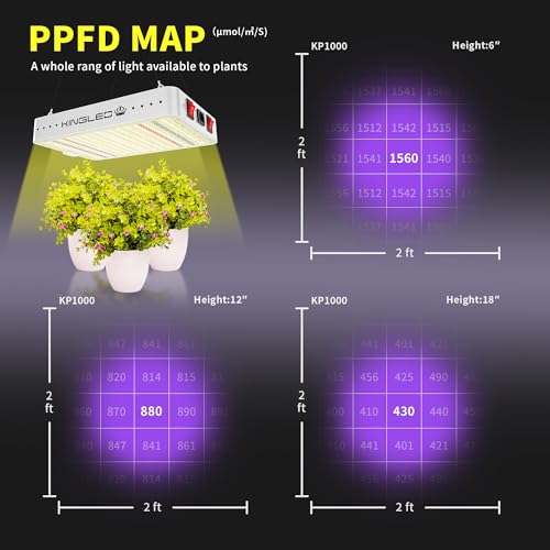 KingLED KP1000 Grow Light for Indoor Plants, Full Spectrum Plant Grow Light - size: KING1000