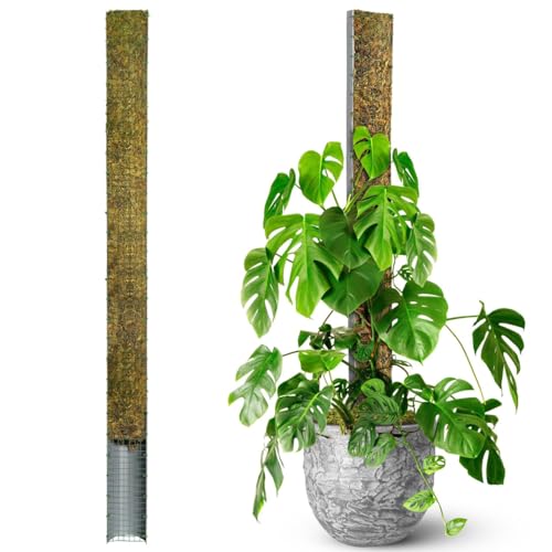 DUSPRO 59" Large D-Shape Moss Pole for Big Climbing Plants, (1pc, 59'') - size: 59" D SHAPED MOSS POLE