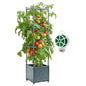 Tomato Planter Box with Trellis 41.3", Tomato Garden Bed with Planters Cage - size: 9.84*9.84*41.3 inch