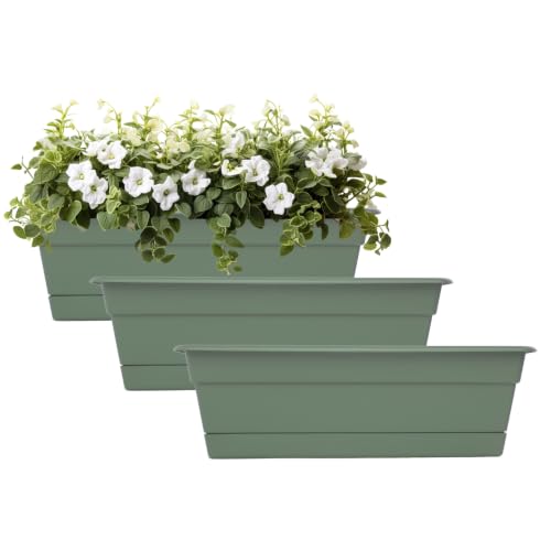 Bloem Dura Cotta 18" Plastic Window Box Planter with Saucer, Basil, 3-Pack - color: Basil, size: 18" (Pack of 3)
