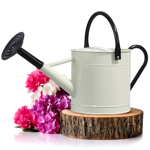Plexon Metal Watering Can Outdoor 1 Gallon, Flower Plant Gardening Garden Large Watering Can Pot, Black Galvanized Steel Handles and Removable Spray Spout, Off-White - color: Off-white