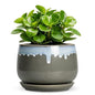 Ceramic Pots for Plants 6 Inch, Indoor Plant Pots, Grey-Blue - size: 6 Inch, style: Grey-blue