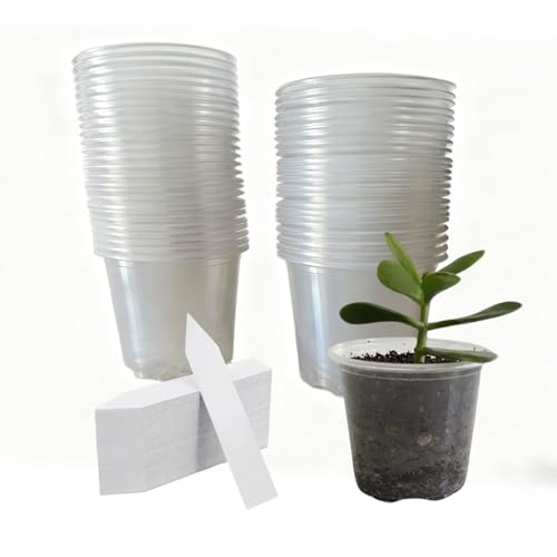 50-Pack 4" Clear Nursery Pots, Clear Plant Pots with Drainage, Plastic Plant Pots,Seedling Pots for Succulents, Herbs, Flowers, (with 50 Plant Labels) - size: 4in