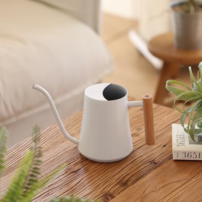 Green Moon 1L/35oz Metal Watering Can Indoor with Long Spout, White - color: White