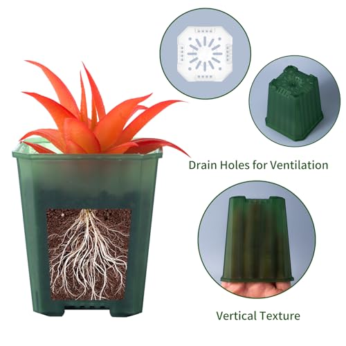 30Pcs 3 Inch Transparent Green Nursery Pots with Saucers, Square Plant Pot - color: Transparent Green