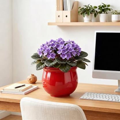 8 Inch Ceramic Self Watering Pots with Absorbent Inner Pot, Red - color: Red, size: 8 Inch