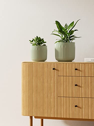 LE TAUCI Ceramic Pots for Plants, 8.3/7/6 Inch Indoor Planters with Drainage Holes & Mesh, Modern Glossy Glaze Cylinder Fluted Plant Pot for Snake Plant, Set of 3, Sage Green - color: Sage Green