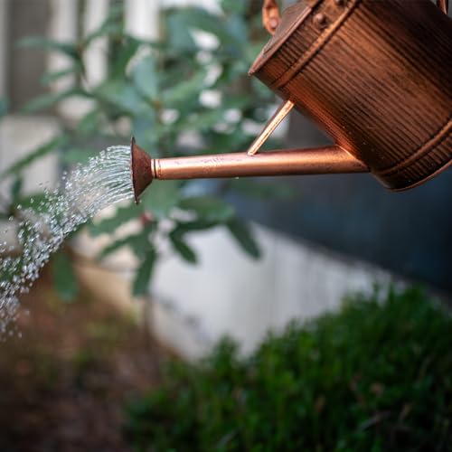 1 Gallon Copper Metal Watering Can, Removable Spout - color: Copper, size: 1 Gallon