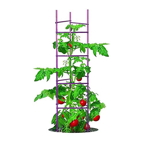 NO Splicing - 5ft Tall Tomato Cage 6-Pack Large Tomato Stakes Garden Plant Stakes Climbing Suports, 40 Clips and Plant Ties Include, Purple - color: Purple, size: 5-Ft 6-Pack