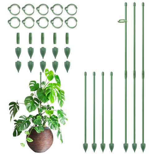 RIFNY Plant Stakes for Indoor Plants, 12 Inch Plant Support Stakes, 10 PCS - color: Green, size: 12IN 10PCS